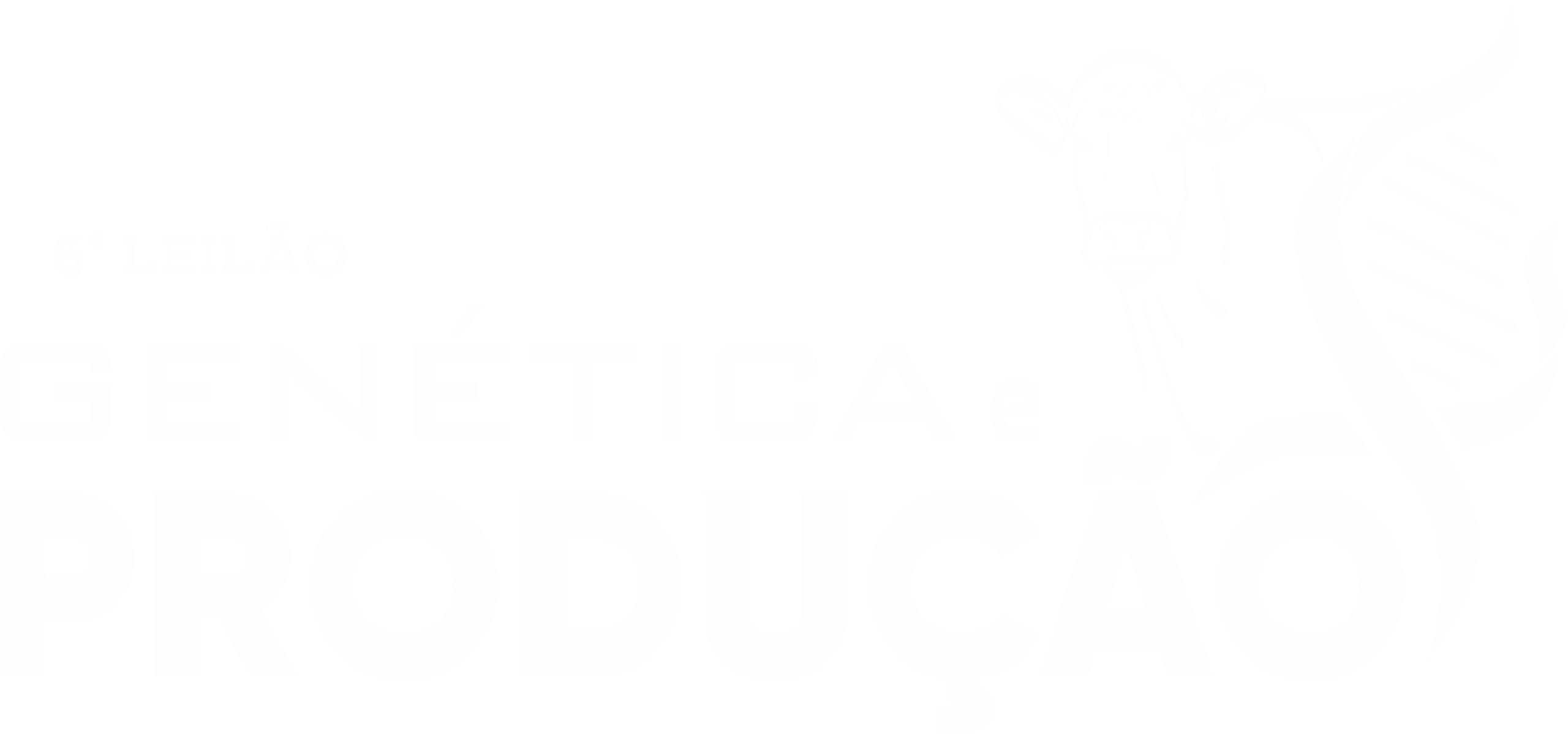 6° Leilão Genética e Produção